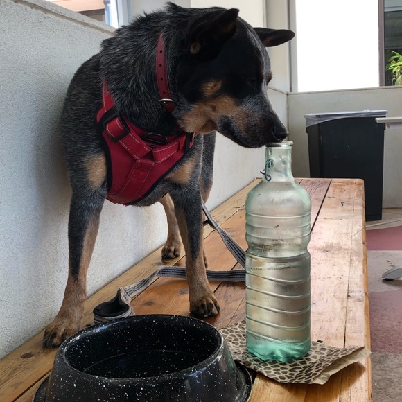 Meet your Posher, Sean - Picture 2 of 3